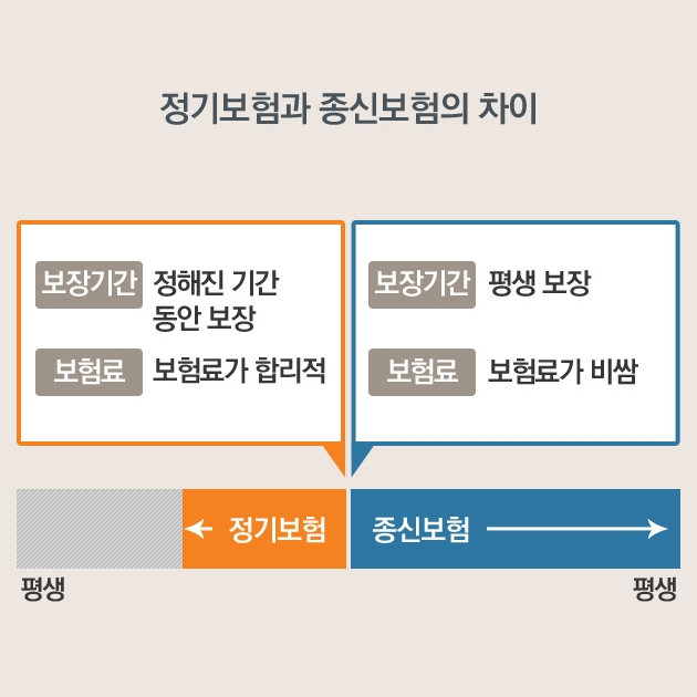 30대 여성보험 저렴한 곳은? (건강등급 할인, 유방암 생식기암, 심혈관 특정질환)