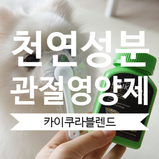 강아지 관절 영양제 휴지기없는 천연성분 카이쿠라블렌드