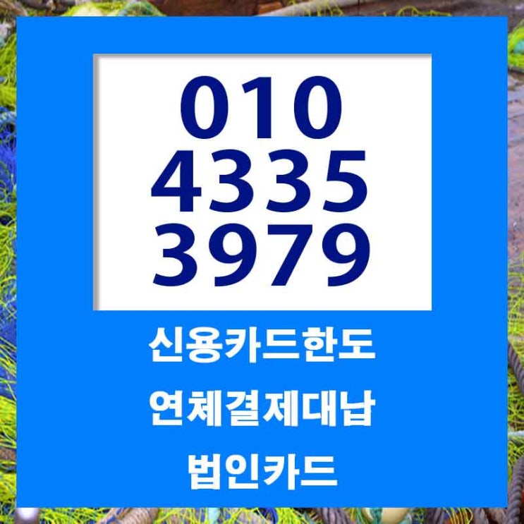  울산 김해 신용카드대납 가능한 곳은요?