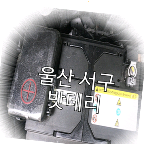  울산서동밧데리할인마트 꼼꼼히 살펴요