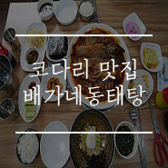 거제 코다리 맛집 배가네동태탕 다음에는 포장해야지