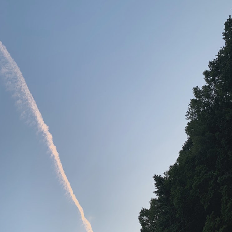  일상