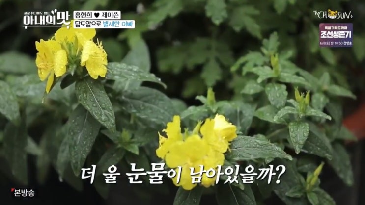  작년 겨울