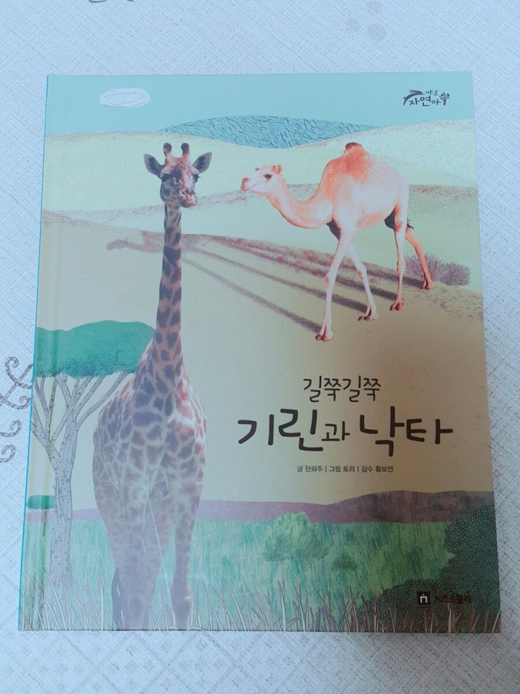  키즈스콜레 독전/독후활동 #38 야호자연아 길쭉길쭉 기린과 낙타