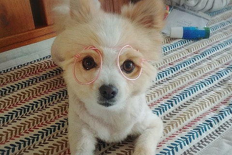 사진 3