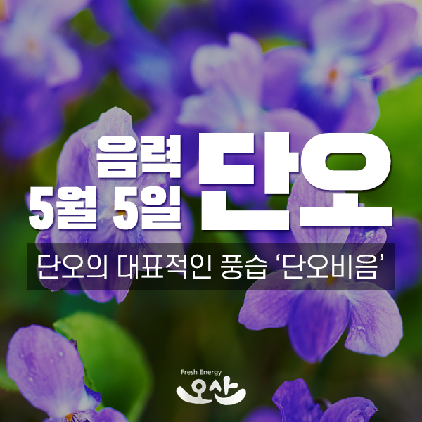  단오 풍습 / 창포물에 머리 감는 '단오비음'이란?