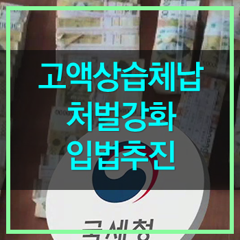  고액체납자 최대30일 유치장! 좀더 강화해야 내지 않을까?