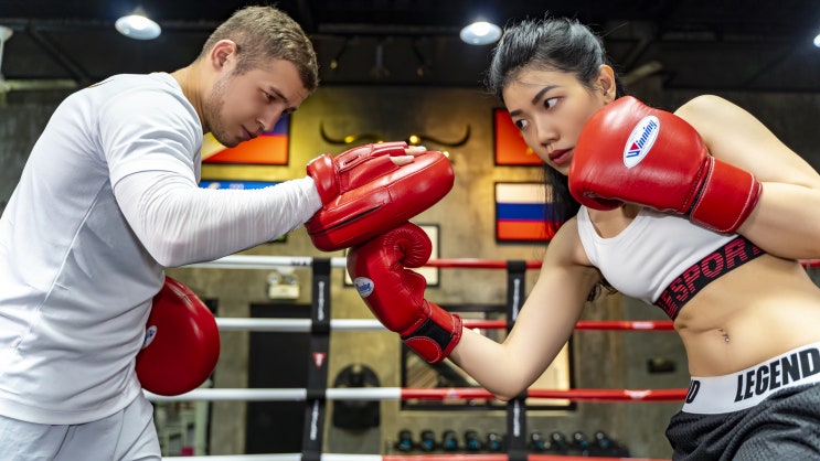  위닝복싱(Winning Boxing) 제품 스틸컷 ^^