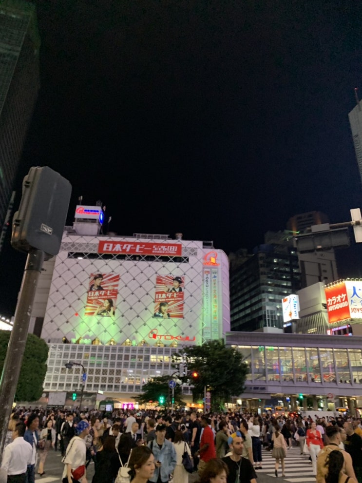  도쿄여행 :: 첫날 / 대구공항 / 티웨이 / 타츠노야 / 신주쿠 / 블루보틀 / 교엔 / 시부야 / 스크램블 교차로 / 롯폰기힐즈 / 픽사 전시회