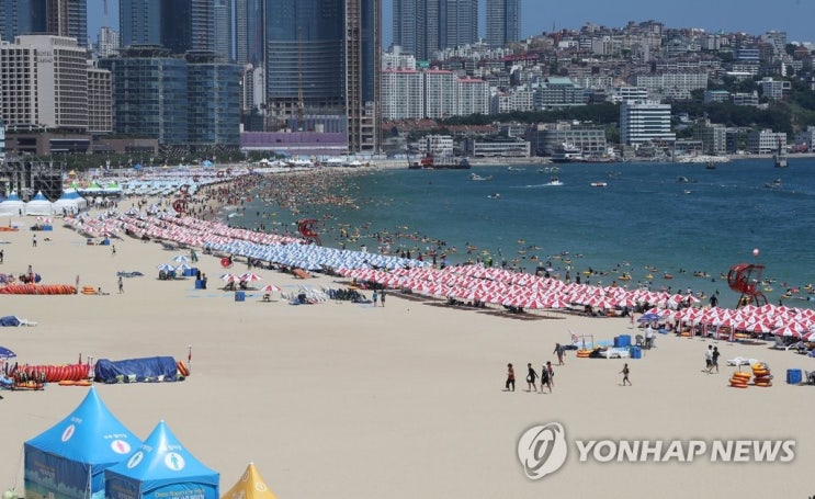  비리 복마전 전락한 해운대 파라솔사업