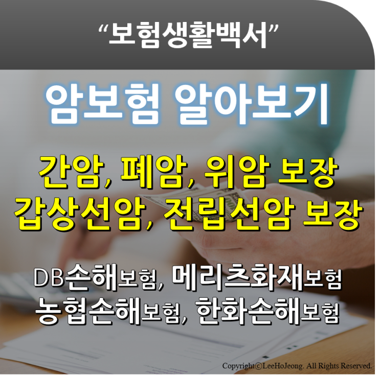  간암, 폐암, 위암, 갑상선암, 전립선암 보장 - DB손해보험, 메리츠화재보험, 농협손해보험, 한화손해보험(종합보험 속 암보장 알아보기)