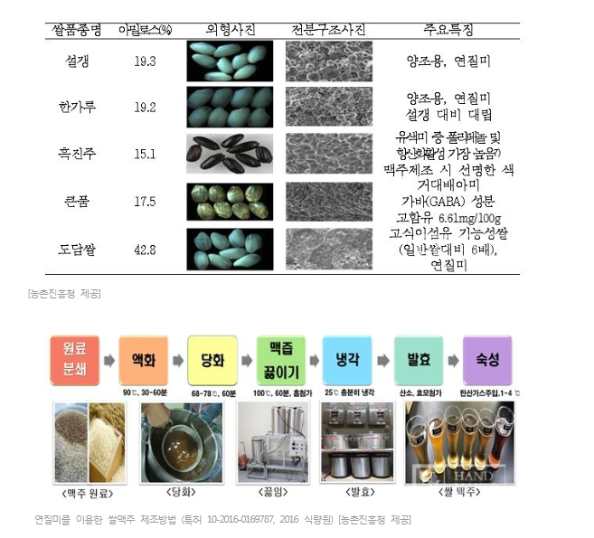  농촌진흥청, 우리 쌀 넣어 맛과 풍미 더한 쌀맥주 출시