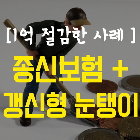  [보험 리모델링] 온 가족이 종신보험+갱신형 눈탱이 맞다. (1억 절감)
