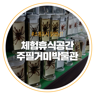 북한강변 체험 휴식공간 주필거미박물관
