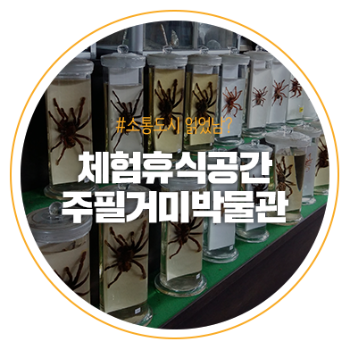  북한강변 체험 휴식공간 주필거미박물관