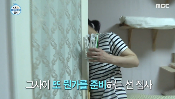  선우선 고양이 나이 파주 남편 결혼