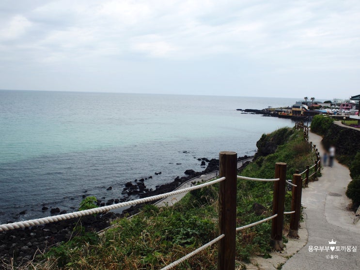  [여행]5월 제주2박3일 여행2일차 - 해변/신비의도로/도립미술관/씨스파