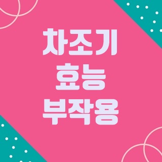  차조기 효능, 부작용 알아보아요.