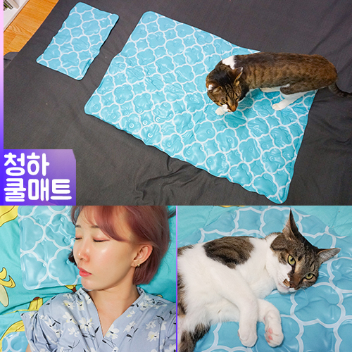  [청하] 청하 쿨매트 이제는 여름 열대야 필수품이 되어버렸어요.