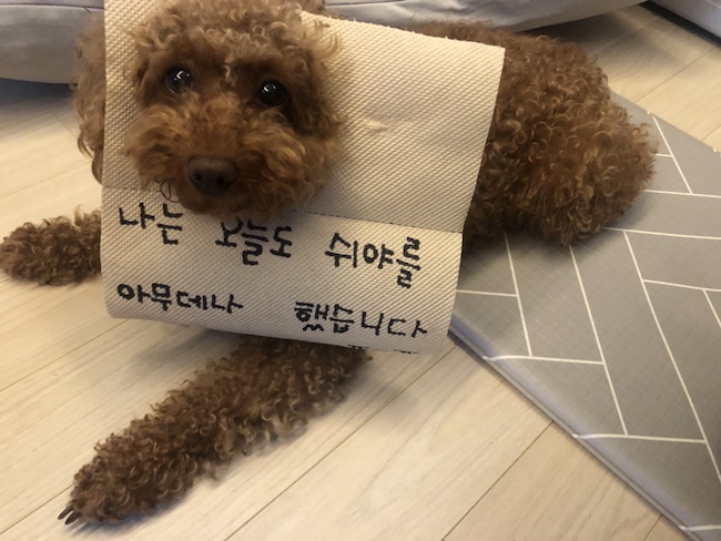  190606::요즘일상:: 벌써 6월?!일년의 반!