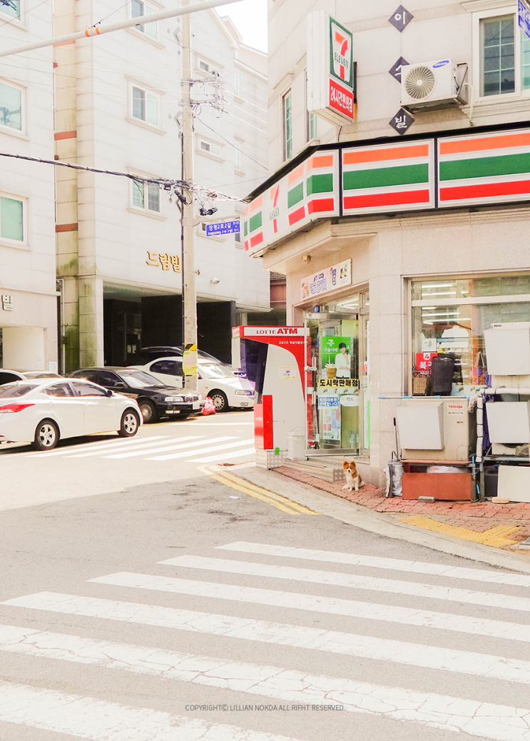  [옛날이야기] 구조하기로 한 날