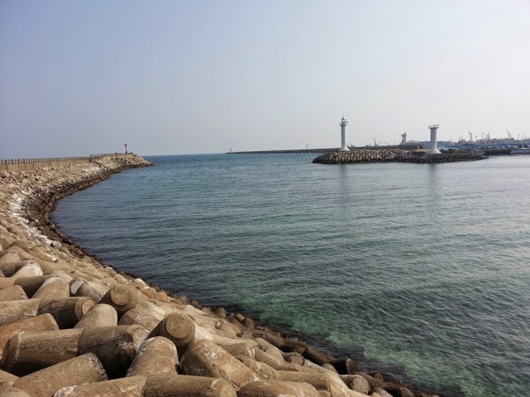  2019-06-06 목: 기뻐하며 즐거워하리라