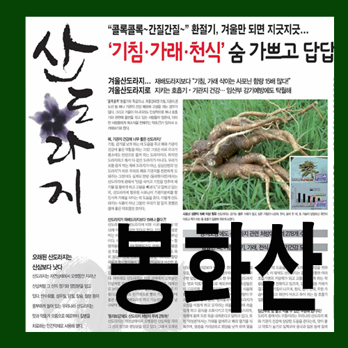  →[봉화산도라지 특별광고]기침,가래,천식 해소엔 역시 산도라지가 최고다~~