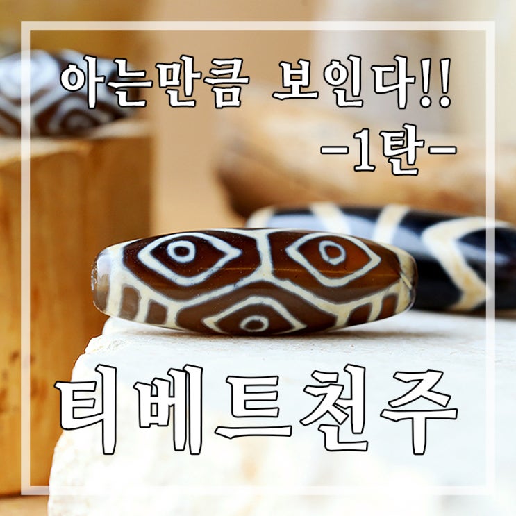  [티베트천주 이야기_1탄] 아는 만큼 보이는 동경비즈 티베트 천주