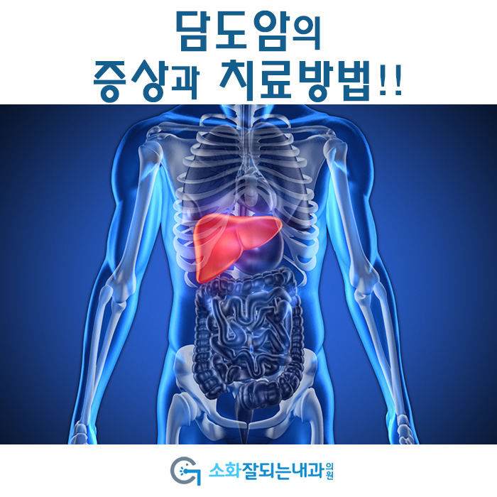  [청주건강검진] 담도암의 증상과 치료방법!