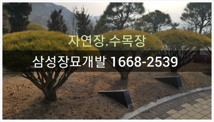  자연장지 조성 알아보기(묘지이장,산소개장 후 자연장으로 모시기)