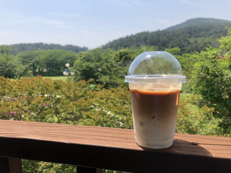  커피와 수다, 그리고 우동과 손만두