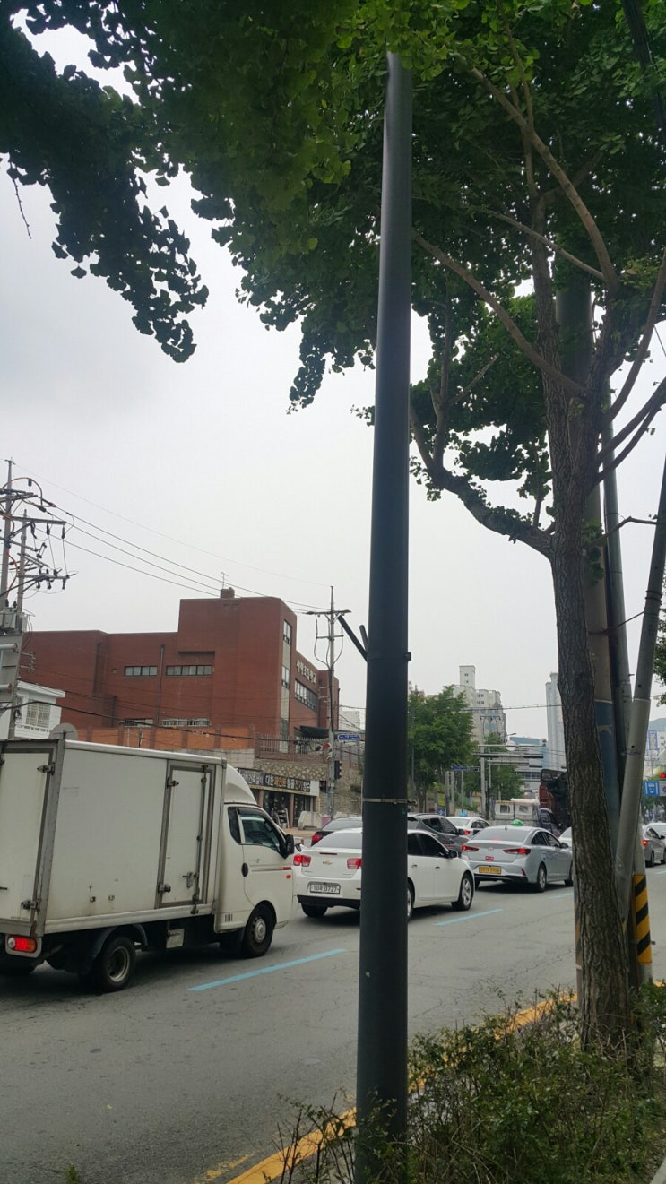  태극기가 없는 거리.