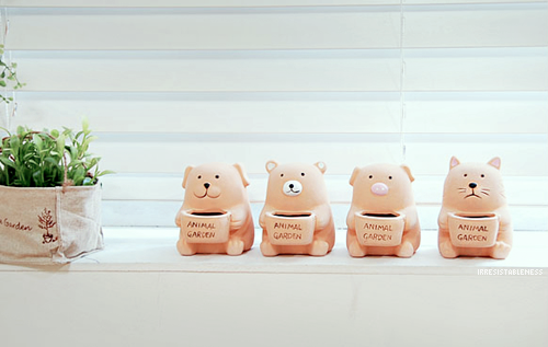  조이월드 마리오 밸런스작업 후기 친절함과 정확함!