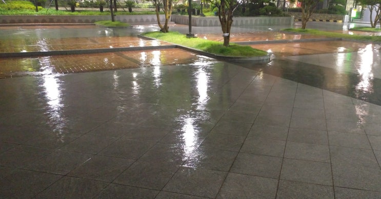 부산 날씨 6월에 내린 많은 비와 강풍주의보