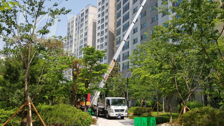 How better and more efficiently to move in a house in South Korea