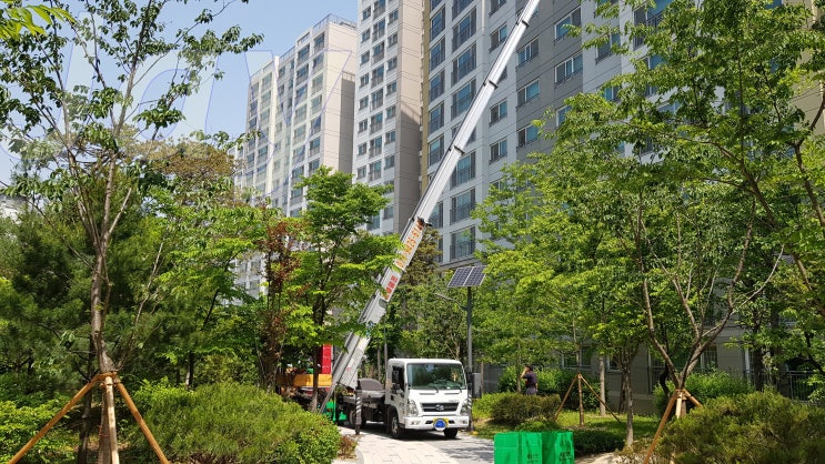  How better and more efficiently to move in a house in South Korea