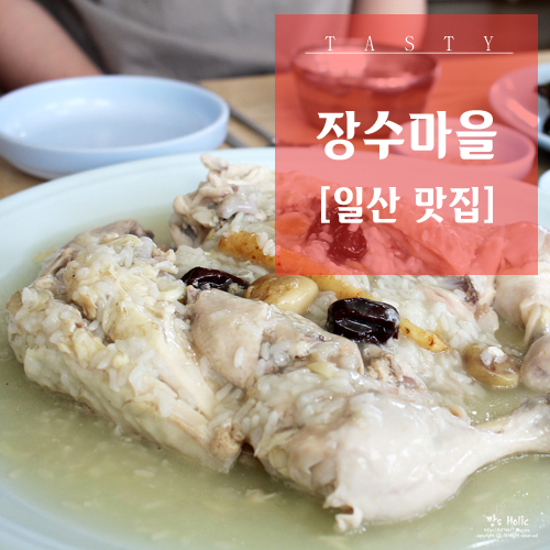  풍산동 맛집 밥블레스유백숙 재방문 200% :: 장수마을