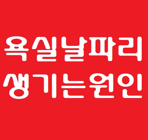  우리집 욕실날파리,화장실나방파리,욕실날벌레 생기는 원인과 퇴치방법