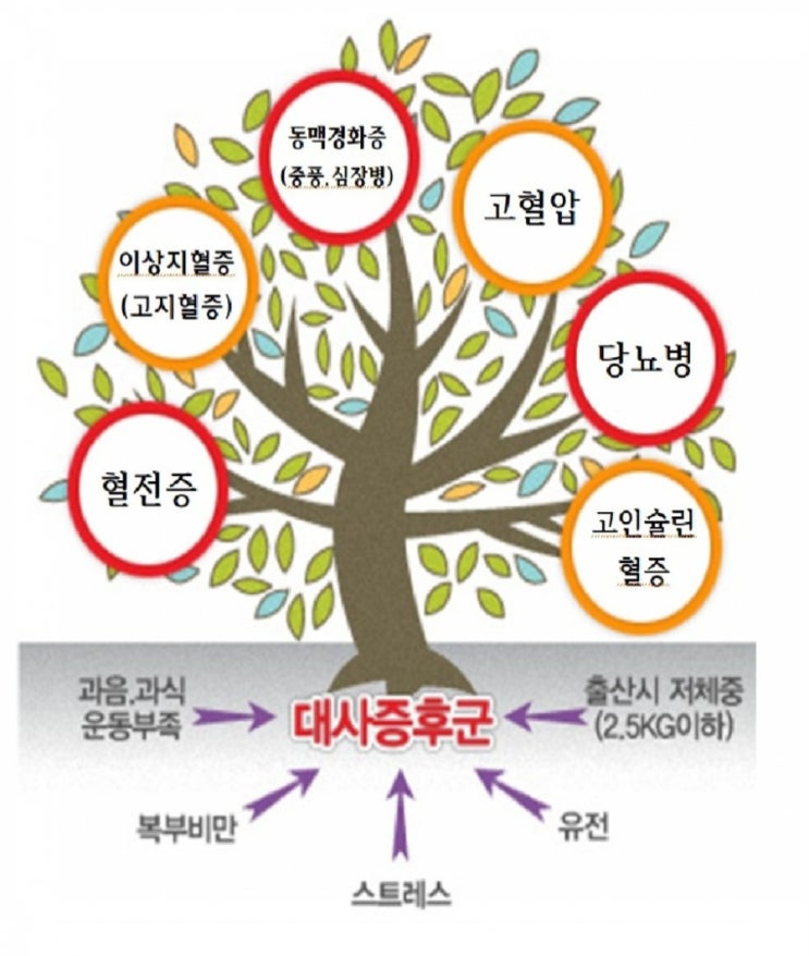  대사성 질환과 대사증후군