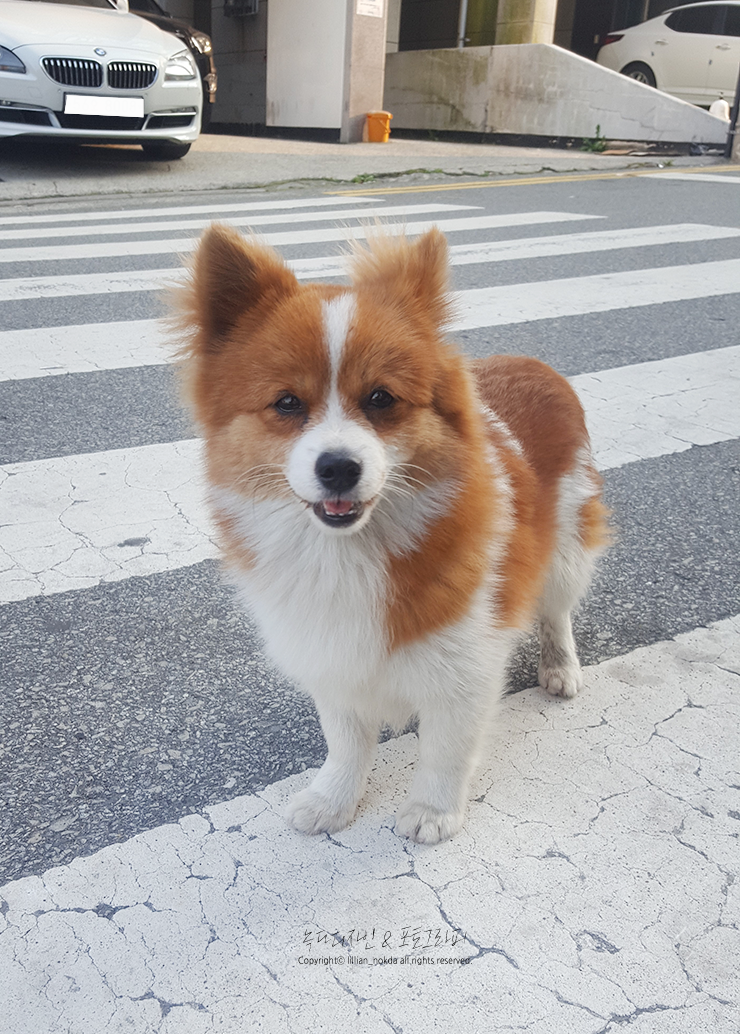  [옛날이야기] 드디어 친해지다