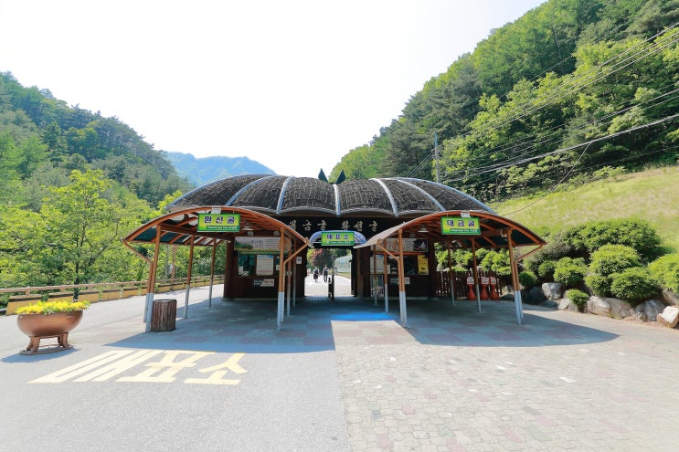  강원도 가볼 만한 곳 삼척 환선굴