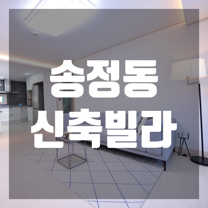  송정동신축빌라 광주시청 인근 위치좋은 파인힐