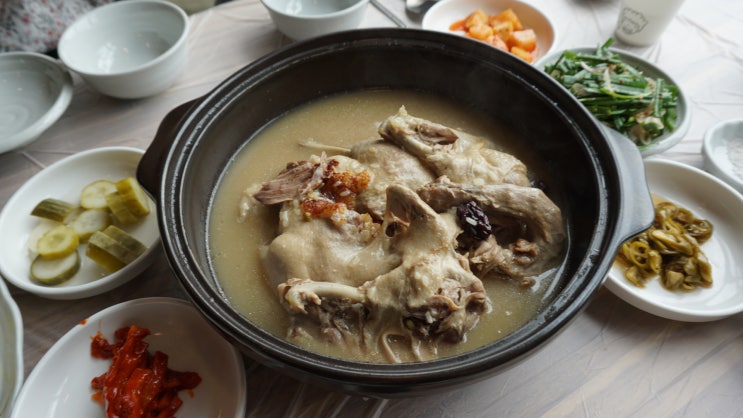  달성군맛집 큰기와집 오리백숙 송해공원맛집일세