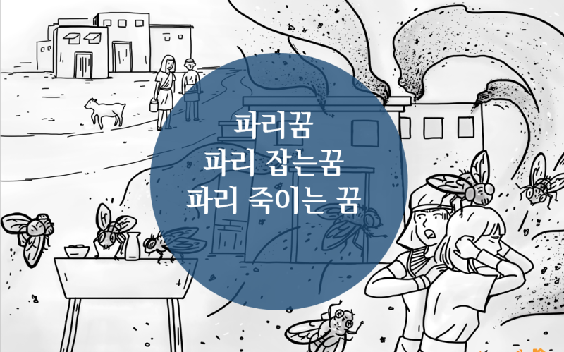 [꿈해몽] 파리꿈, 파리 잡는꿈, 파리 죽이는 꿈, 파리떼꿈