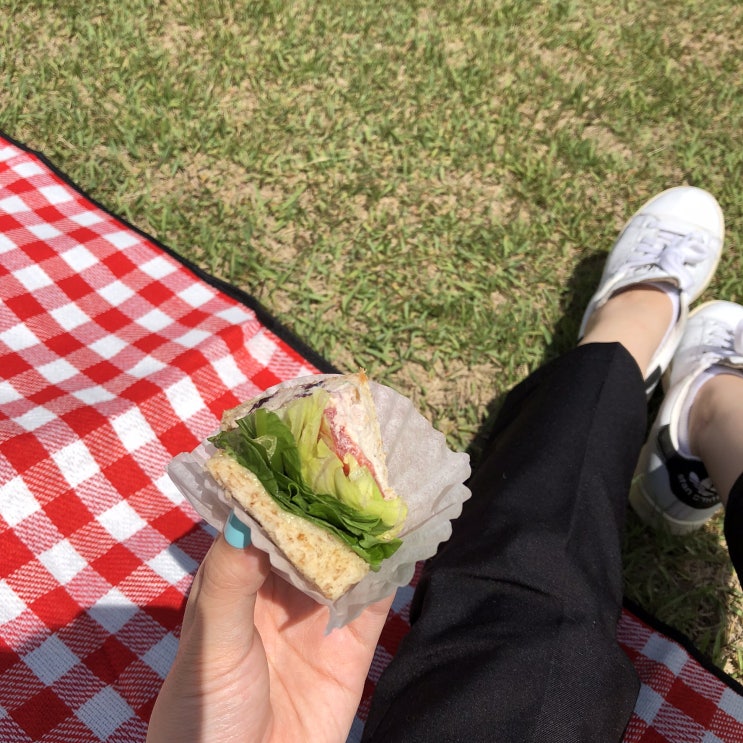  [요기요] 딜리버리어택으로 피크닉 즐기고 왔어요! :)️
