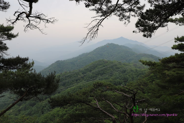  주금산 비금계곡 숨겨진 거문고를 찾아서