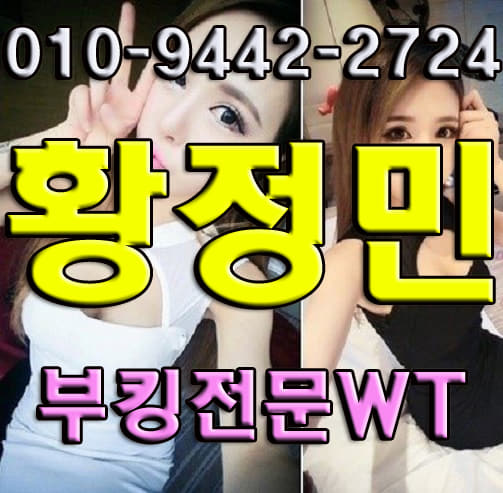  노원호박나이트 WT황정민대박