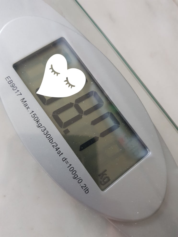  시서스분말가루 다리어트 시서스부작용 후기