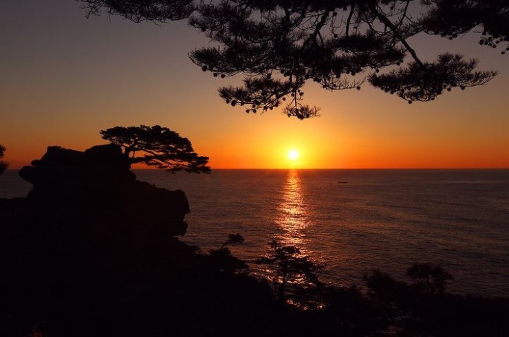  김천대리운전술대리운전