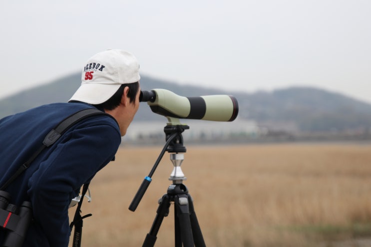 자연과 사람의 경계, 버드워처(Bird Watcher)